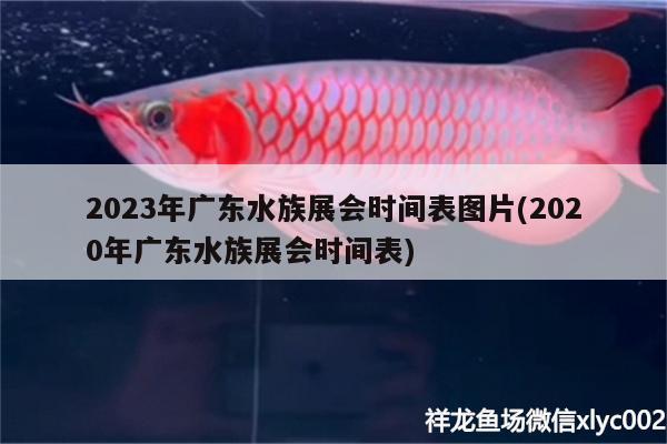 2023年广东水族展会时间表图片(2020年广东水族展会时间表) 水族展会 第2张