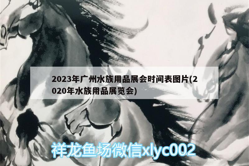 2023年广州水族用品展会时间表图片(2020年水族用品展览会) 水族用品