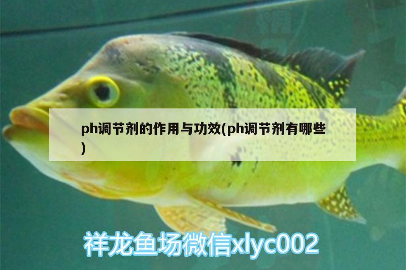 ph调节剂的作用与功效(ph调节剂有哪些)