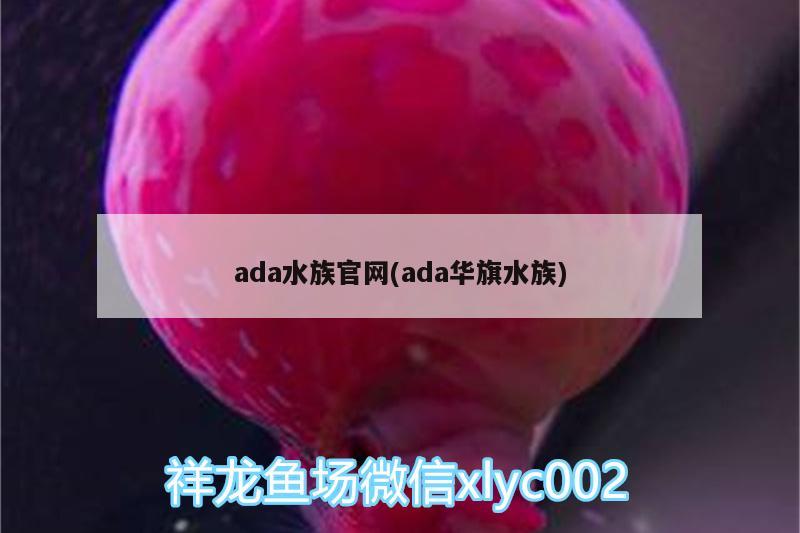 ada水族官网(ada华旗水族)