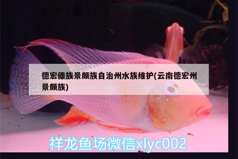 德宏傣族景颇族自治州水族维护(云南德宏州景颇族)