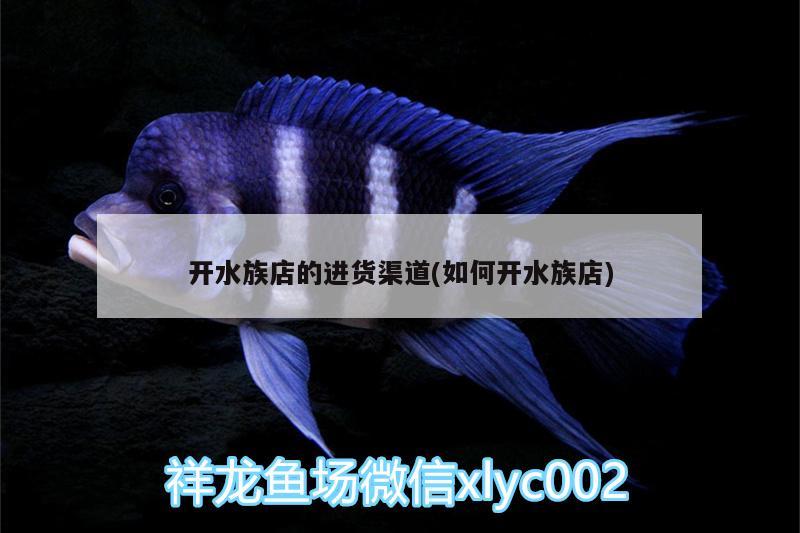 开水族店的进货渠道(如何开水族店)