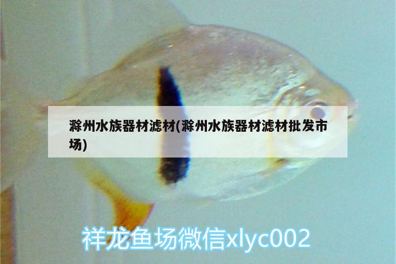 滁州水族器材滤材(滁州水族器材滤材批发市场)