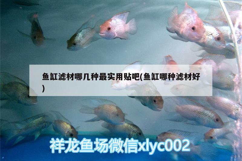 鱼缸滤材哪几种最实用贴吧(鱼缸哪种滤材好) 鱼缸等水族设备