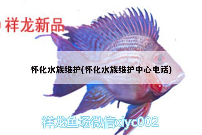 怀化水族维护(怀化水族维护中心电话)