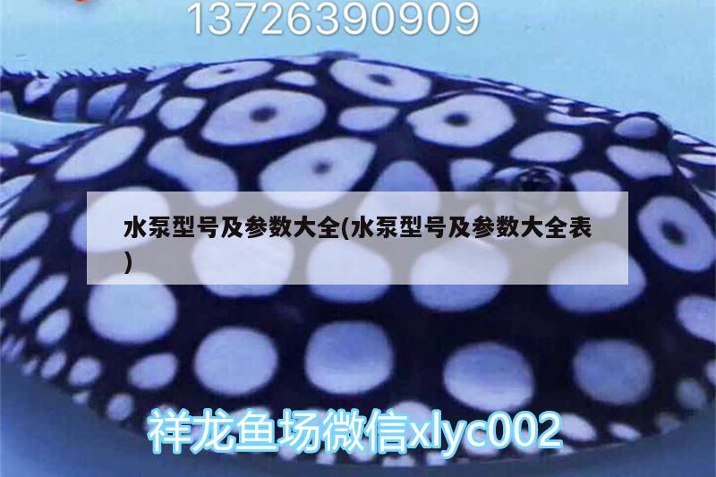 水泵型号及参数大全(水泵型号及参数大全表) 水族维护服务（上门）