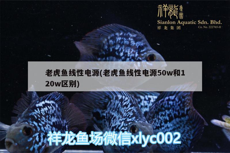 老虎鱼线性电源(老虎鱼线性电源50w和120w区别)