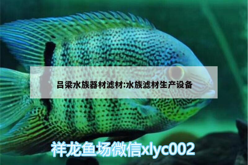 吕梁水族器材滤材:水族滤材生产设备