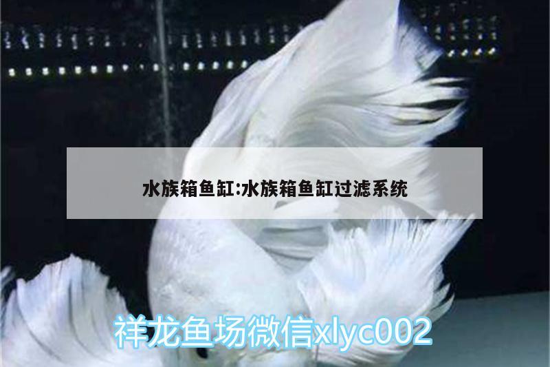 水族箱鱼缸:水族箱鱼缸过滤系统 鱼缸/水族箱 第2张