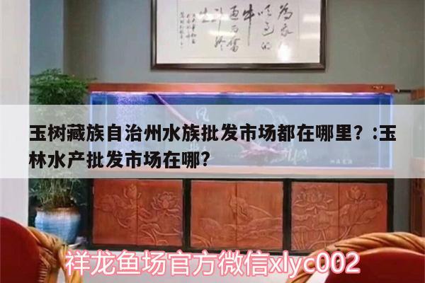 玉树藏族自治州水族批发市场都在哪里？:玉林水产批发市场在哪? 观赏鱼水族批发市场