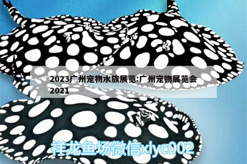 2023广州宠物水族展览:广州宠物展览会2021