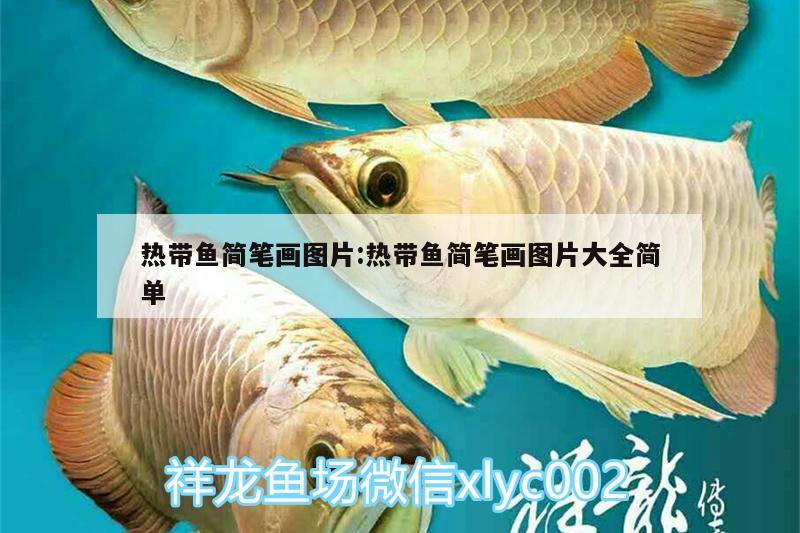 热带鱼简笔画图片:热带鱼简笔画图片大全简单 细线银版鱼