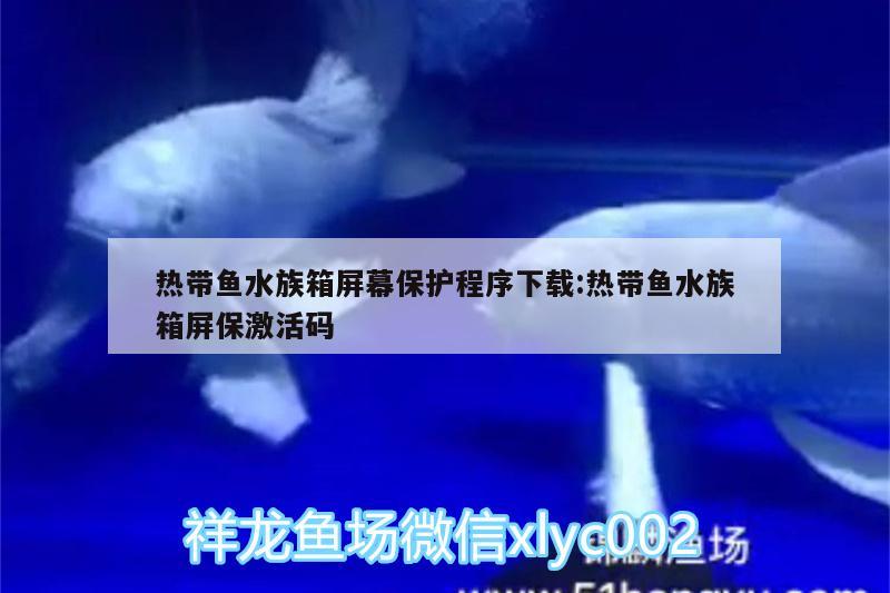 热带鱼水族箱屏幕保护程序下载:热带鱼水族箱屏保激活码 鱼缸/水族箱 第2张