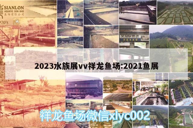 2023水族展vv祥龙鱼场:2021鱼展