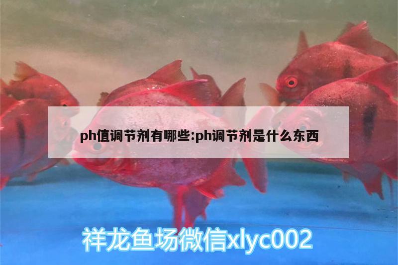 ph值调节剂有哪些:ph调节剂是什么东西 PH调节剂