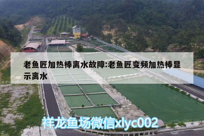 老鱼匠加热棒离水故障:老鱼匠变频加热棒显示离水 老鱼匠