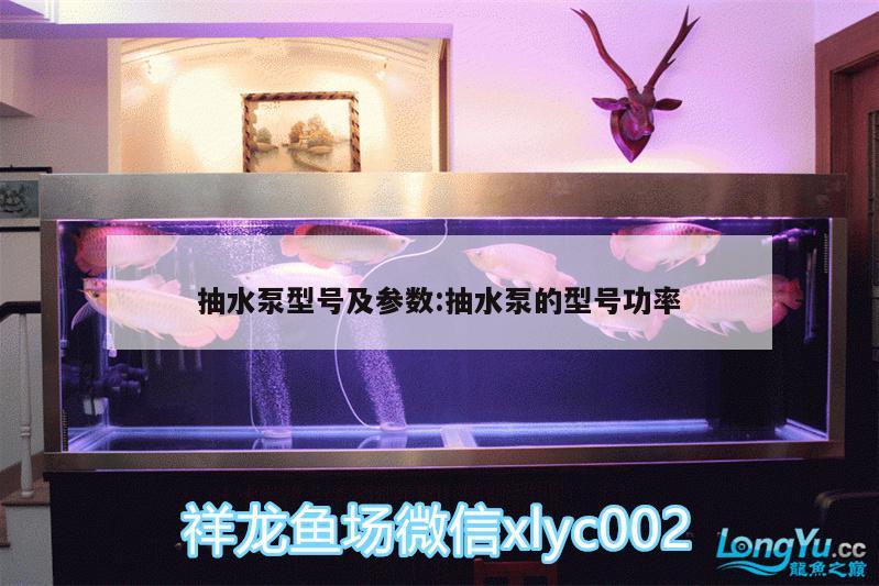 抽水泵型号及参数:抽水泵的型号功率 水族品牌