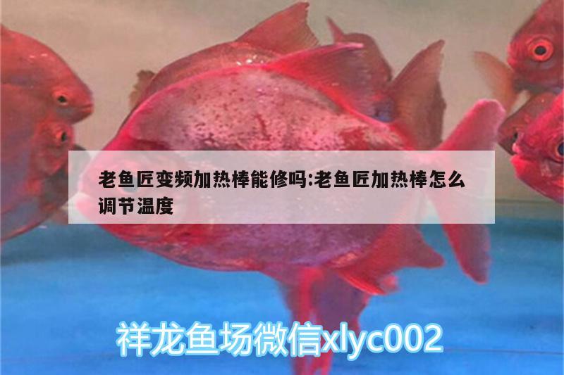 老鱼匠变频加热棒能修吗:老鱼匠加热棒怎么调节温度 老鱼匠