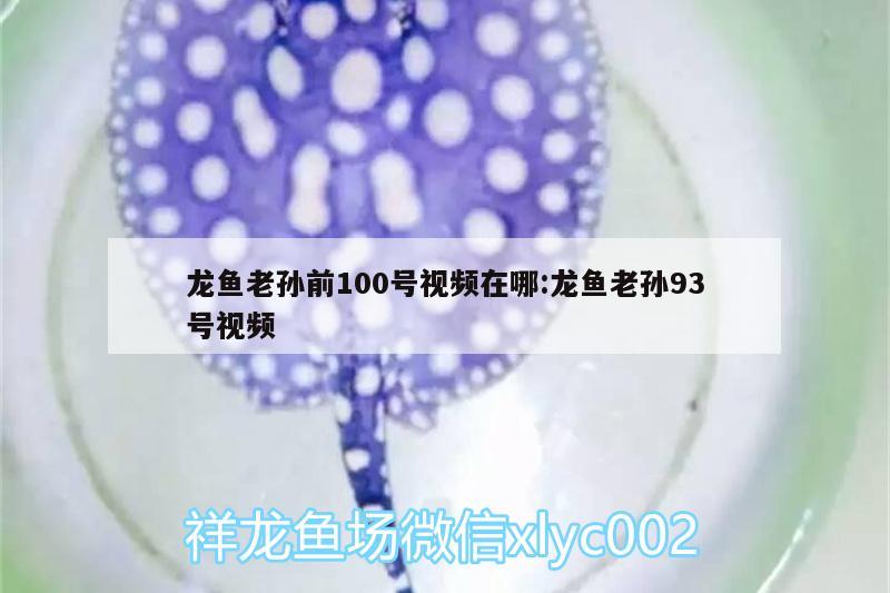 龙鱼老孙前100号视频在哪:龙鱼老孙93号视频