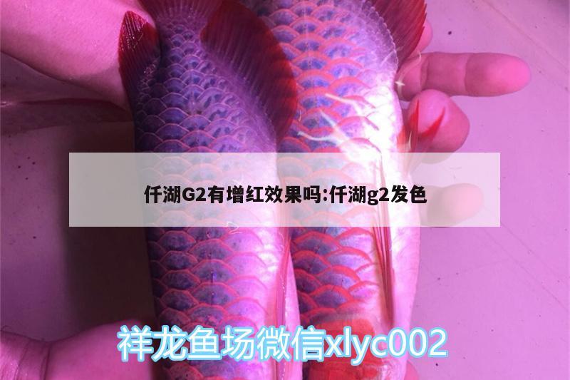 仟湖G2有增红效果吗:仟湖g2发色