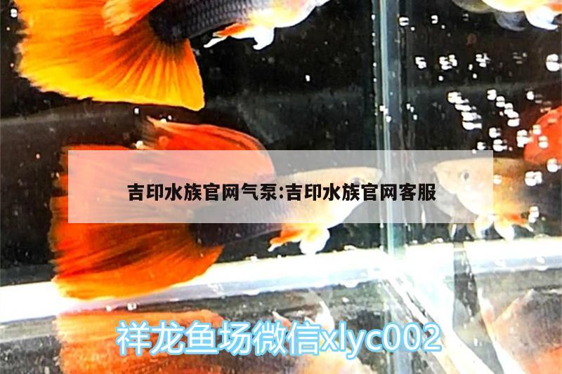 吉印水族官网气泵:吉印水族官网客服 吉印水族