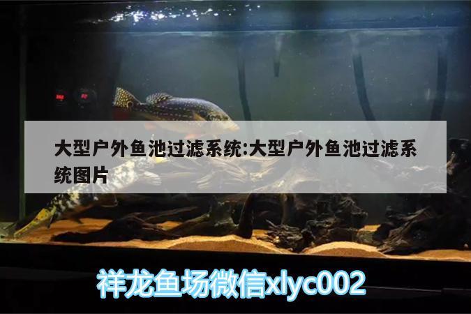 大型户外鱼池过滤系统:大型户外鱼池过滤系统图片