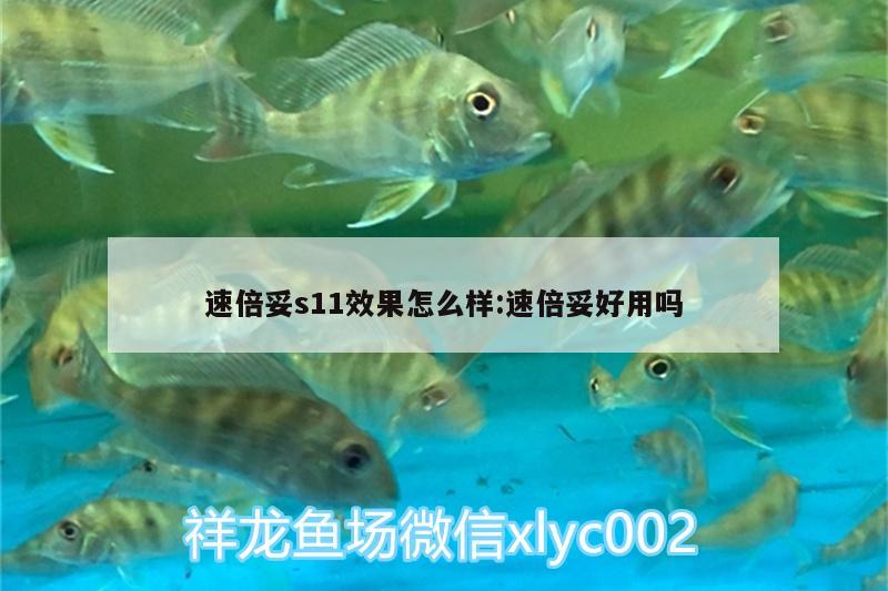 速倍妥s11效果怎么样:速倍妥好用吗 速倍妥