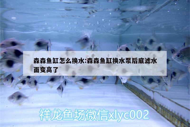 森森鱼缸怎么换水:森森鱼缸换水泵后底滤水面变高了 肥料