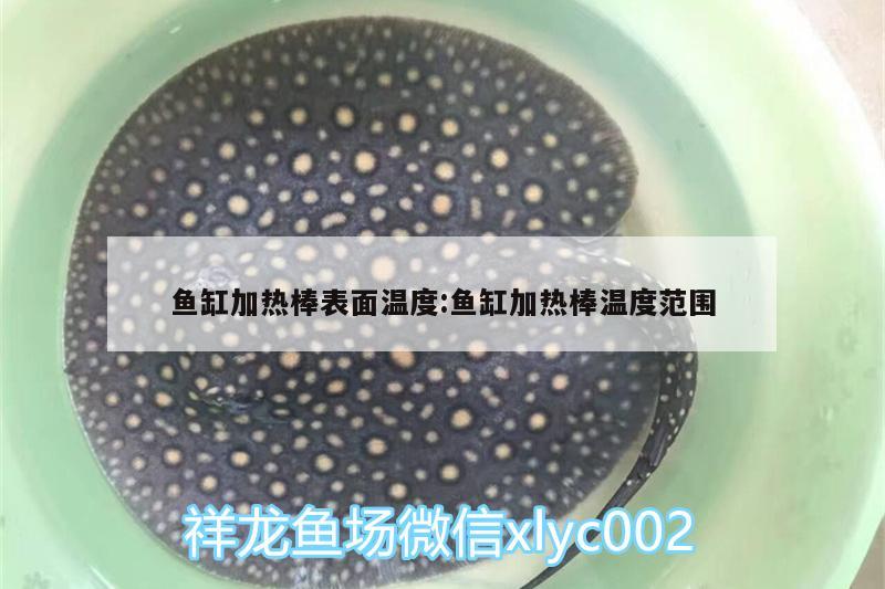 鱼缸加热棒表面温度:鱼缸加热棒温度范围 麦肯斯银版鱼