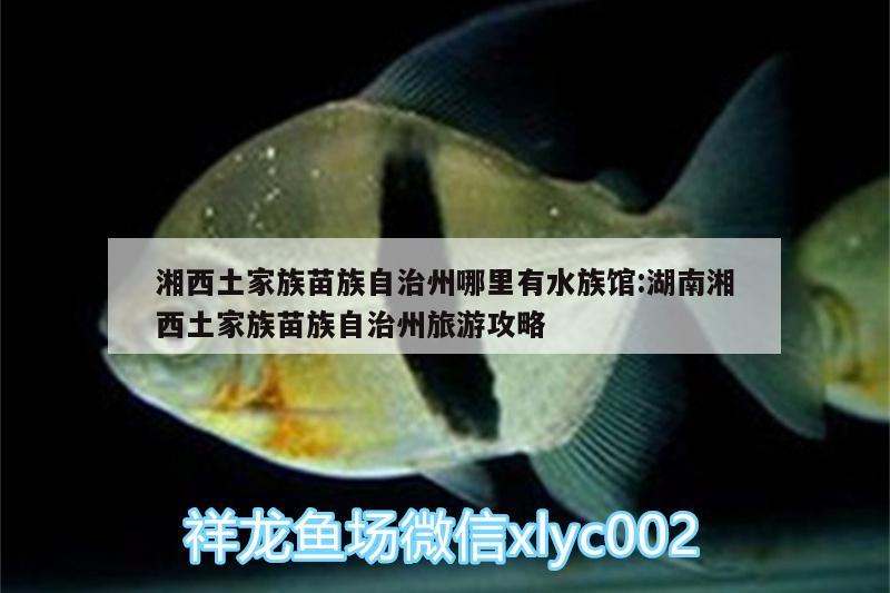 湘西土家族苗族自治州哪里有水族馆:湖南湘西土家族苗族自治州旅游攻略