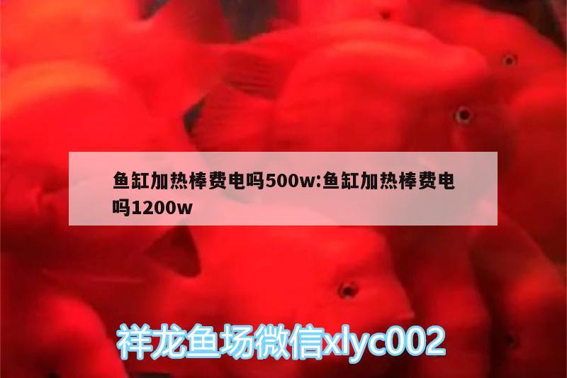 鱼缸加热棒费电吗500w:鱼缸加热棒费电吗1200w 金老虎鱼