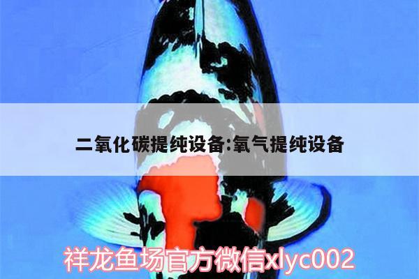 二氧化碳提纯设备:氧气提纯设备