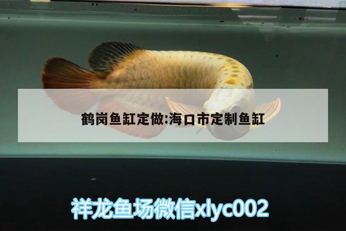 鹤岗鱼缸定做:海口市定制鱼缸 狗仔招财猫鱼