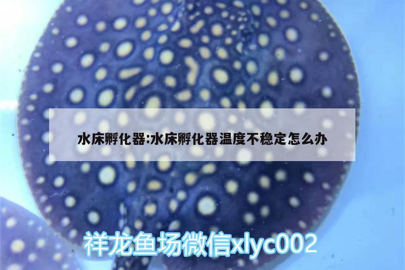 水床孵化器:水床孵化器温度不稳定怎么办