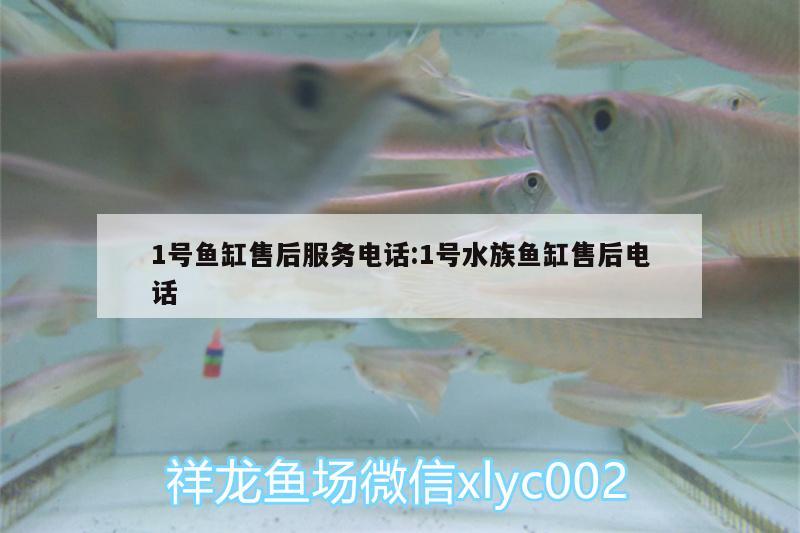 1号鱼缸售后服务电话:1号水族鱼缸售后电话 圣菲埃及鱼