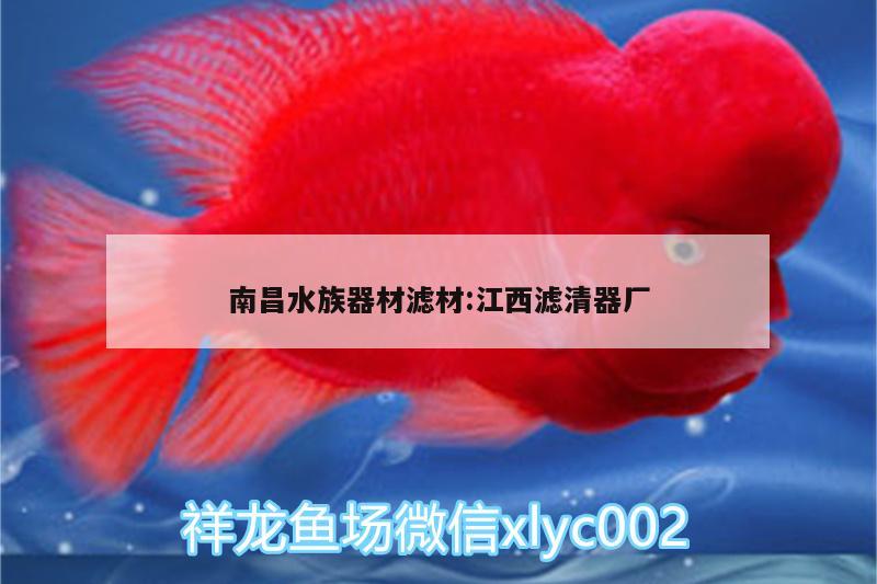 南昌水族器材滤材:江西滤清器厂 成吉思汗鲨（球鲨）鱼