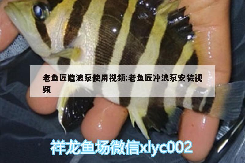 老鱼匠造浪泵使用视频:老鱼匠冲浪泵安装视频 老鱼匠