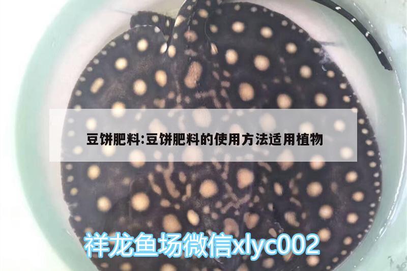 豆饼肥料:豆饼肥料的使用方法适用植物