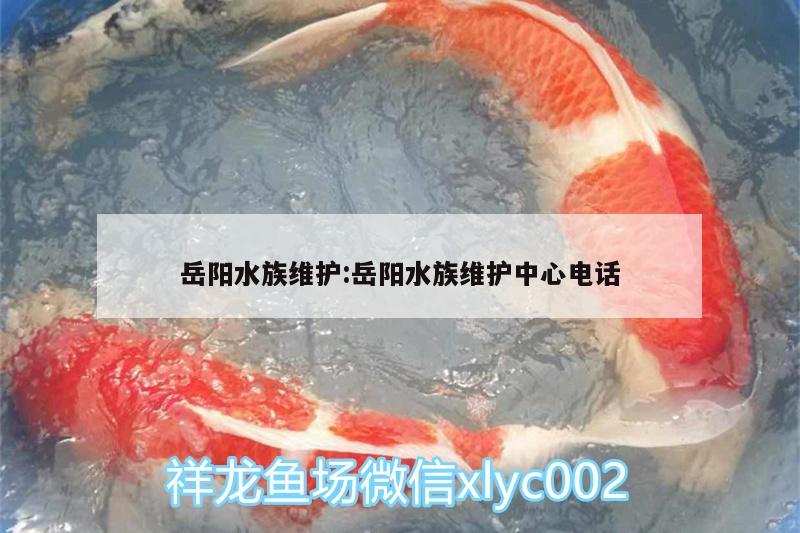 岳阳水族维护:岳阳水族维护中心电话