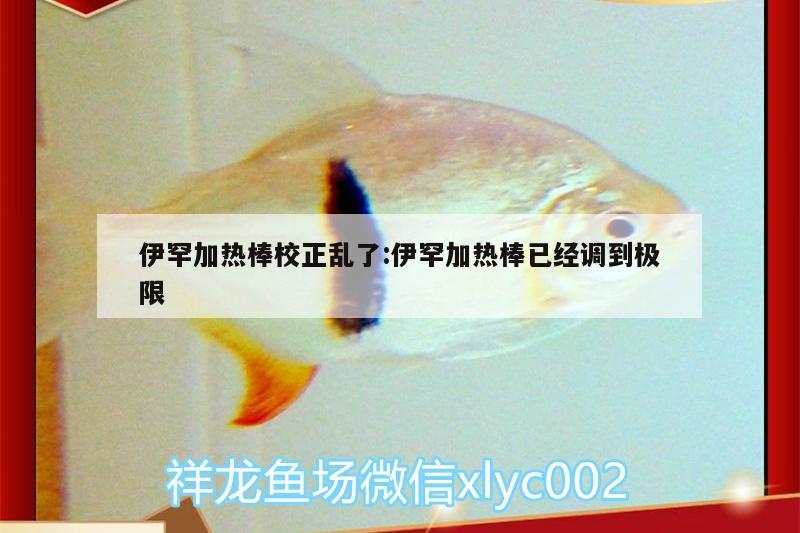 伊罕加热棒校正乱了:伊罕加热棒已经调到极限