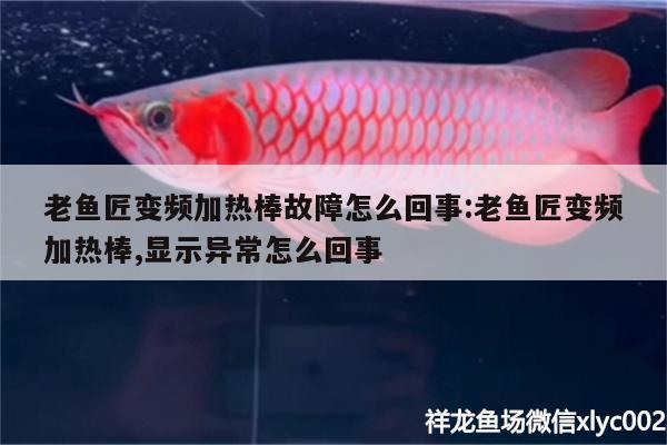 老鱼匠变频加热棒故障怎么回事:老鱼匠变频加热棒,显示异常怎么回事 老鱼匠