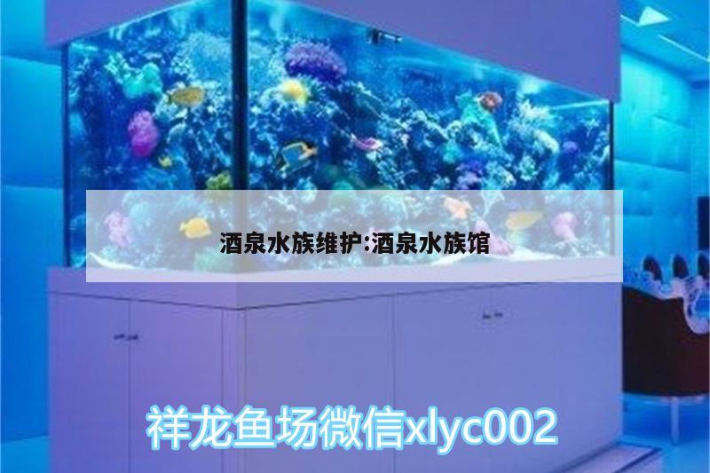 酒泉水族维护:酒泉水族馆 古典过背金龙鱼