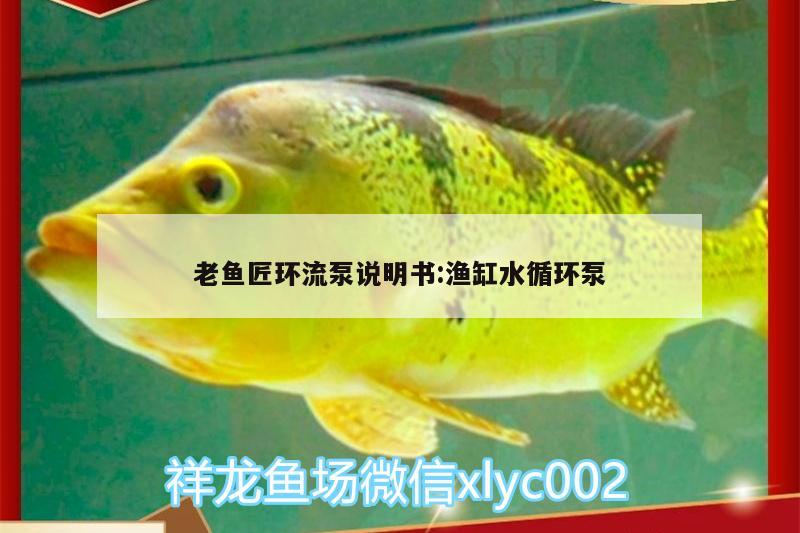 老鱼匠环流泵说明书:渔缸水循环泵