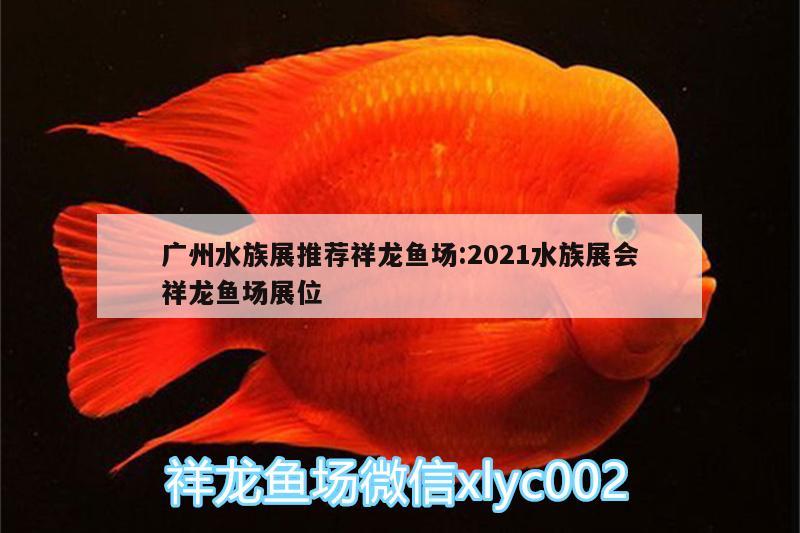 广州水族展推荐祥龙鱼场:2021水族展会祥龙鱼场展位 水族展会