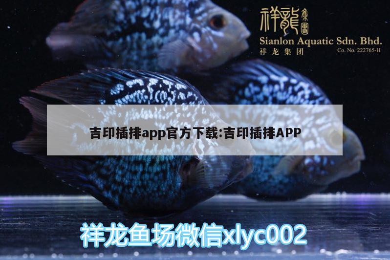 吉印插排app官方下载:吉印插排APP