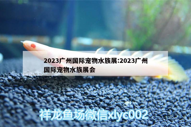 2023广州国际宠物水族展:2023广州国际宠物水族展会