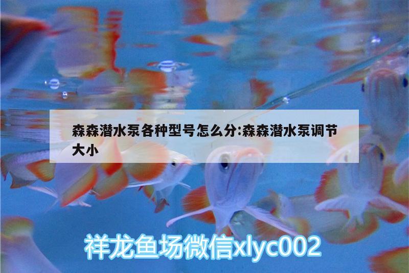 森森潜水泵各种型号怎么分:森森潜水泵调节大小