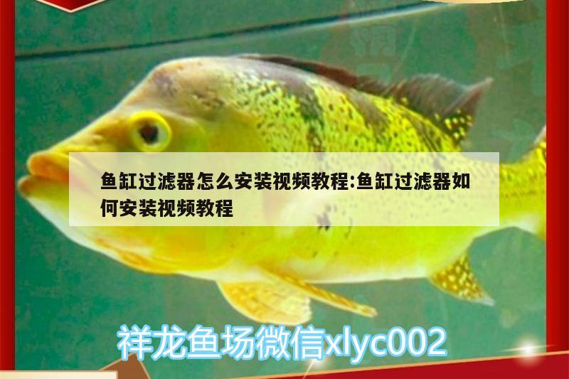 鱼缸过滤器怎么安装视频教程:鱼缸过滤器如何安装视频教程