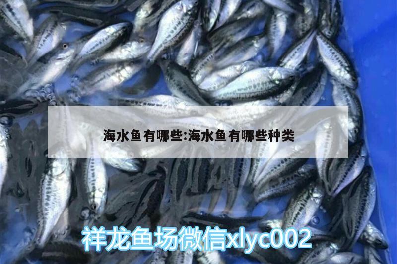 海水鱼有哪些:海水鱼有哪些种类 海水鱼