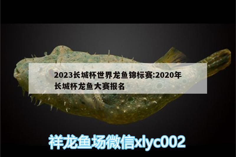 2023长城杯世界龙鱼锦标赛:2020年长城杯龙鱼大赛报名